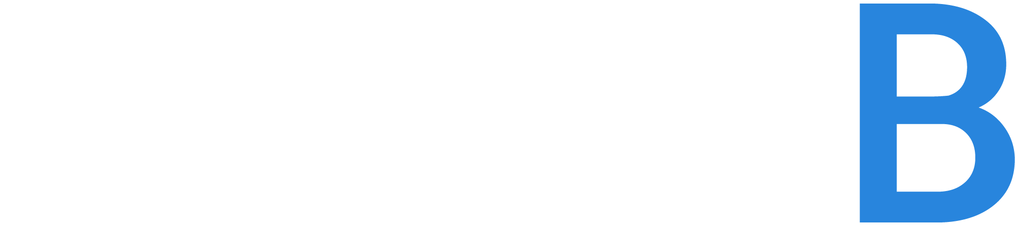 Wordmark%20logo white 100
